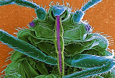 非《传送门3》！V社公布免费游戏《光圈科技打工记》